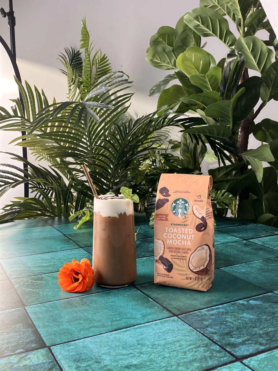 Styled coffee scene with an iced mocha and packaged Starbucks coffee set on a teal surface, surrounded by lush tropical greenery and a single bright ranunculus accent, blending product styling with natural elements.